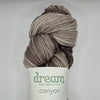 Canyon Dream in Color
