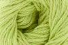Clean Cotton by Universal