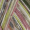 Katia Danubio Socks