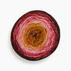Malabrigo Metamorphosis Sock