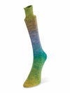 Watercolor Sock Laines du Nord