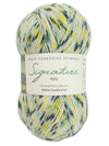 Signature 4ply Sock WYS