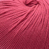 Cascade 220 Superwash