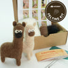 Woolbuddy Needle Felt Kit