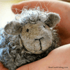Bear Creek Needle Felting Kit
