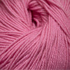 Cascade 220 Superwash